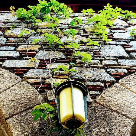 Eski Evleri 3* 닷차