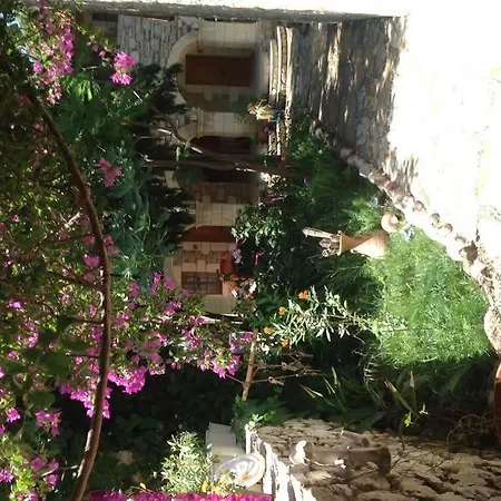 호텔 Eski Evleri 3*