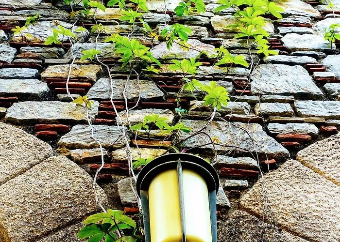 Eski Evleri 3* Датча