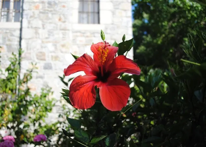 Eski Evleri Отель