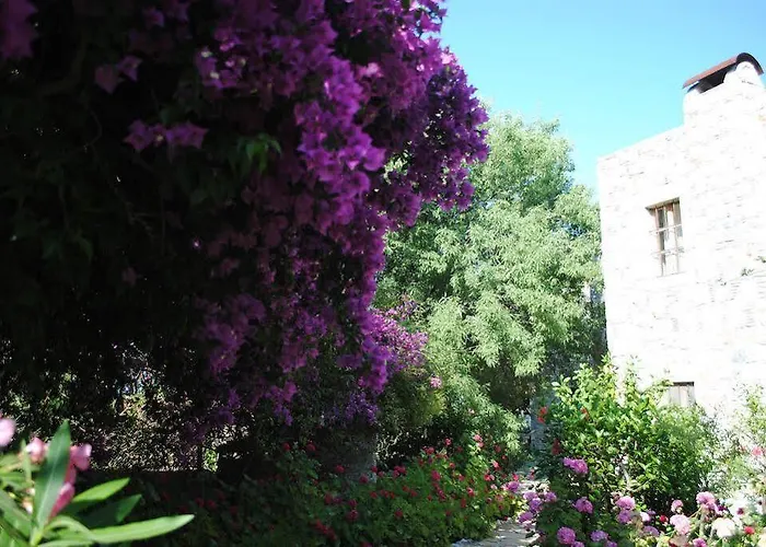 Eski Evleri Датча